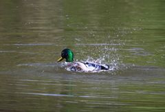 Wasserspiele