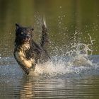 _wasserspiele