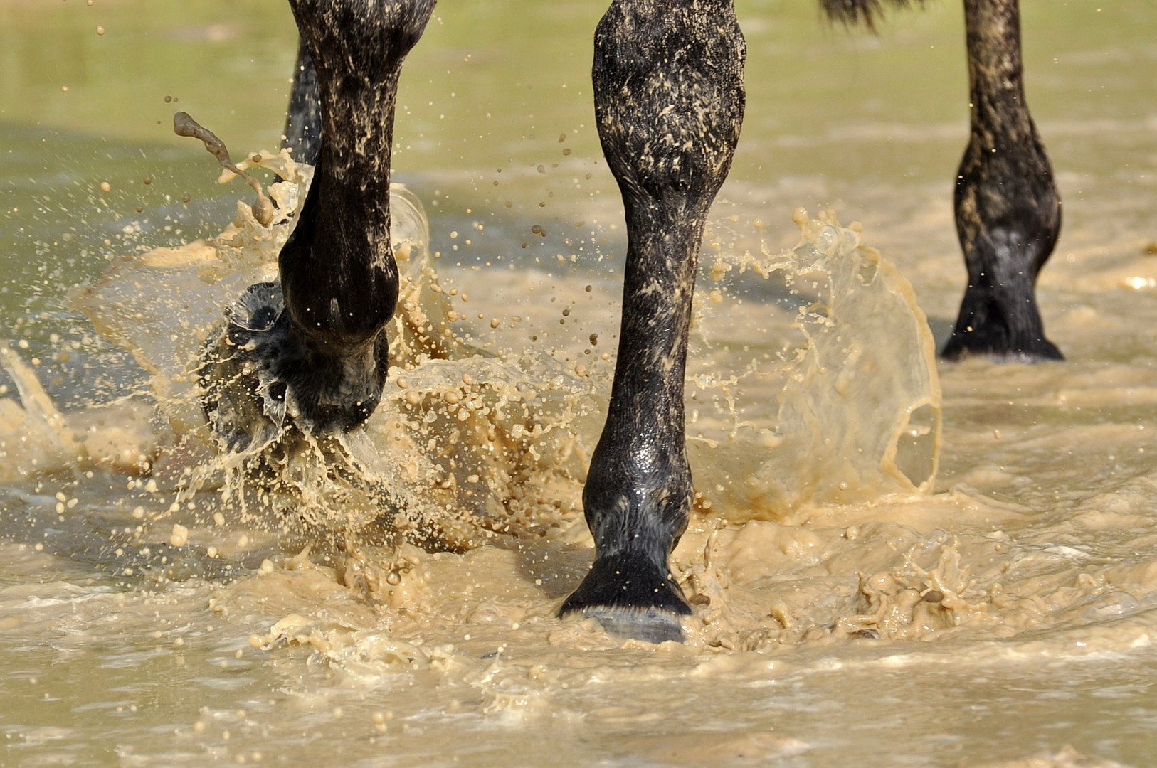 Wasserspiele