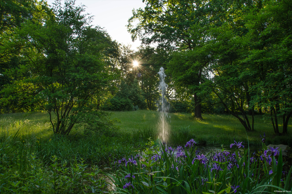 Wasserspiele