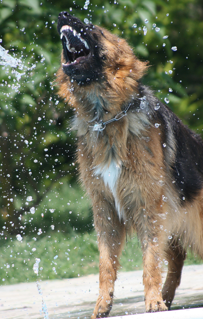 Wasserspiele