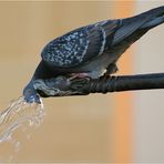 Wasserspiele