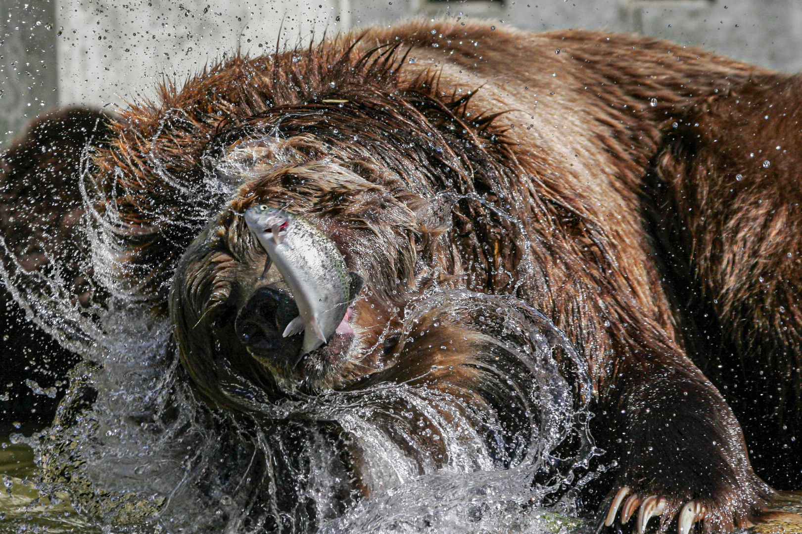 Wasserspiele