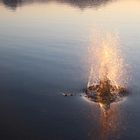 Wasserspiele am Hopfensee im Allgäu