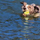 Wasserspiele am RH Kanal