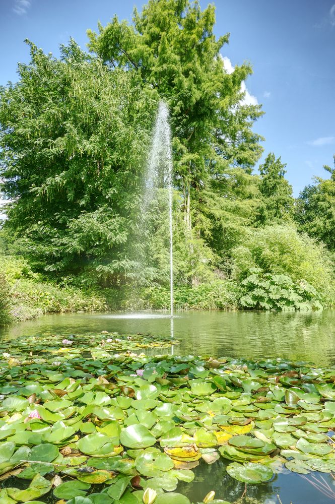 Wasserspiele auf der Insel Mainau