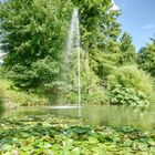 Wasserspiele auf der Insel Mainau