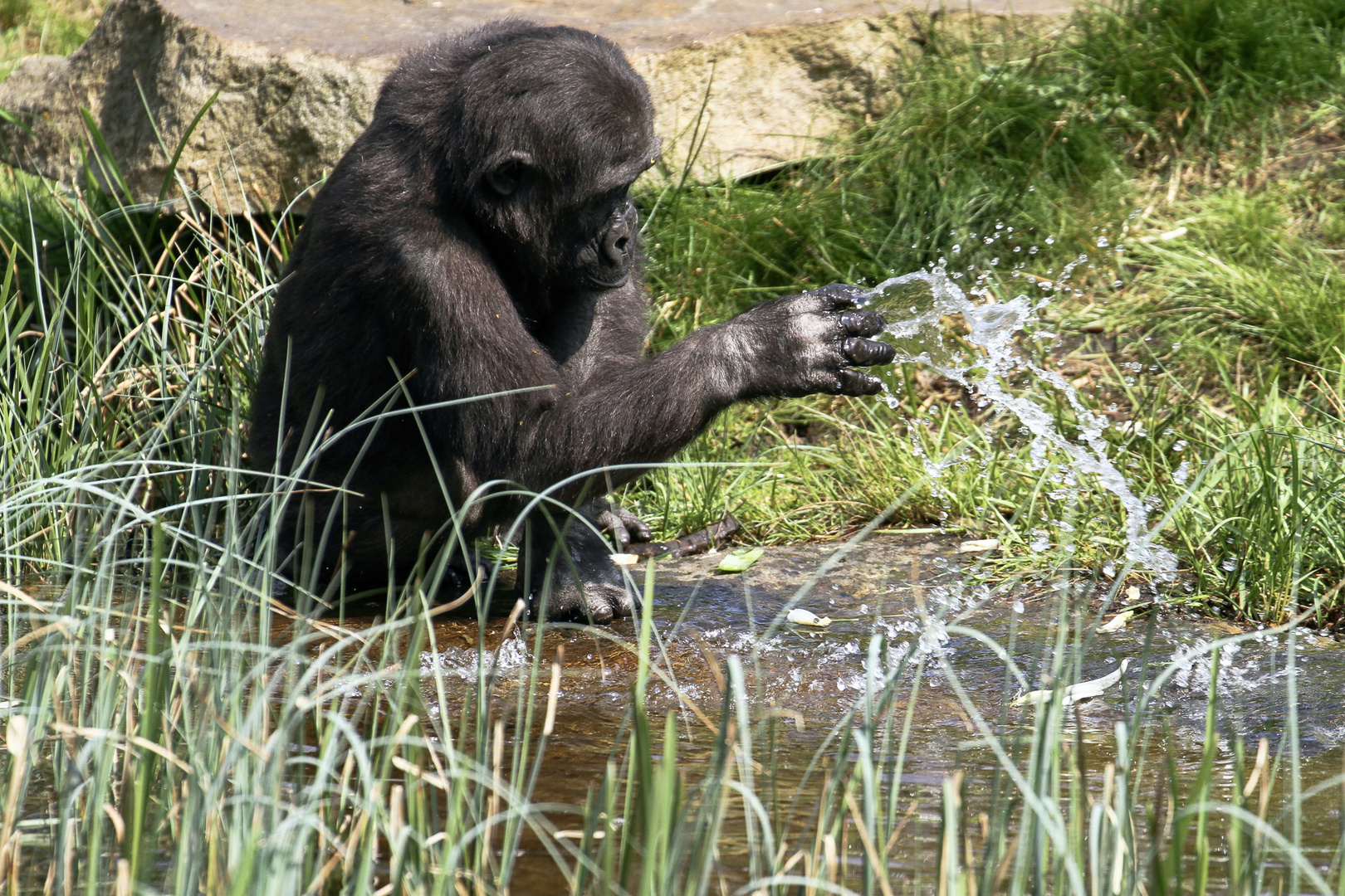 … Wasserspiele …