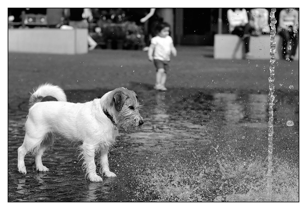 Wasserspiele