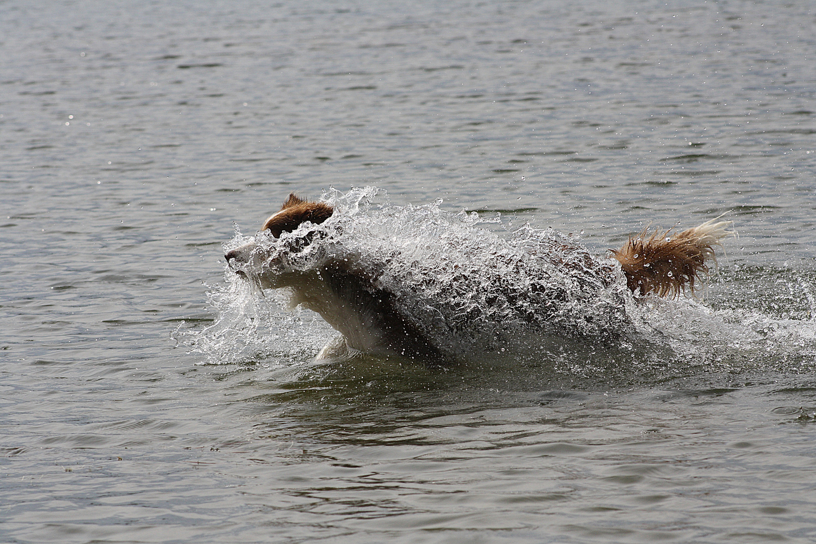 Wasserspiele