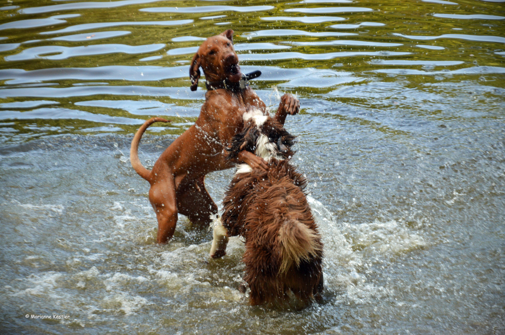 Wasserspiele