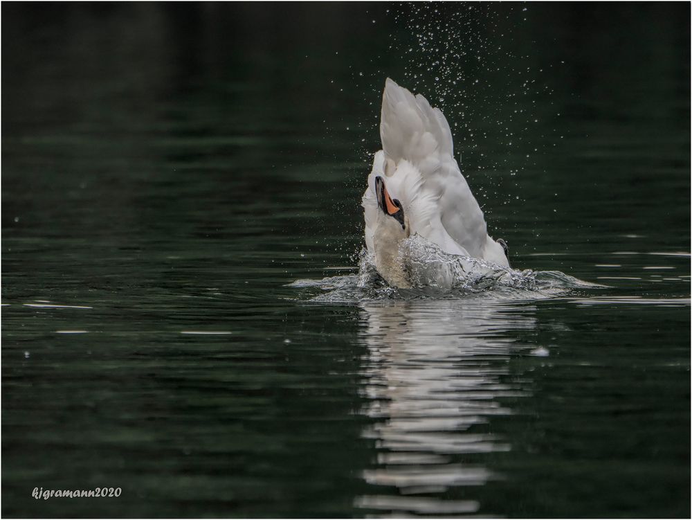 wasserspiele....