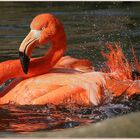 "Wasserspiele"