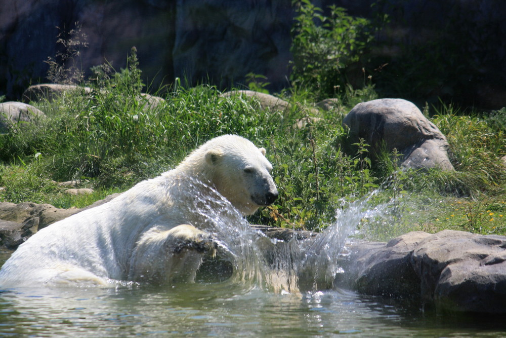 Wasserspiele