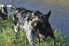 Wasserspiele