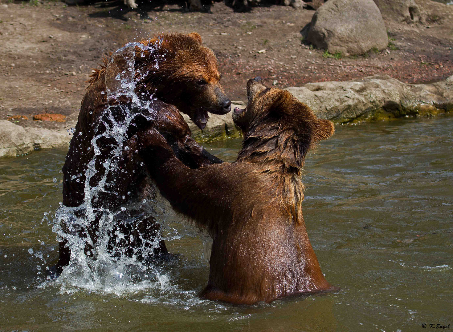 Wasserspiele !!