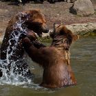 Wasserspiele !!