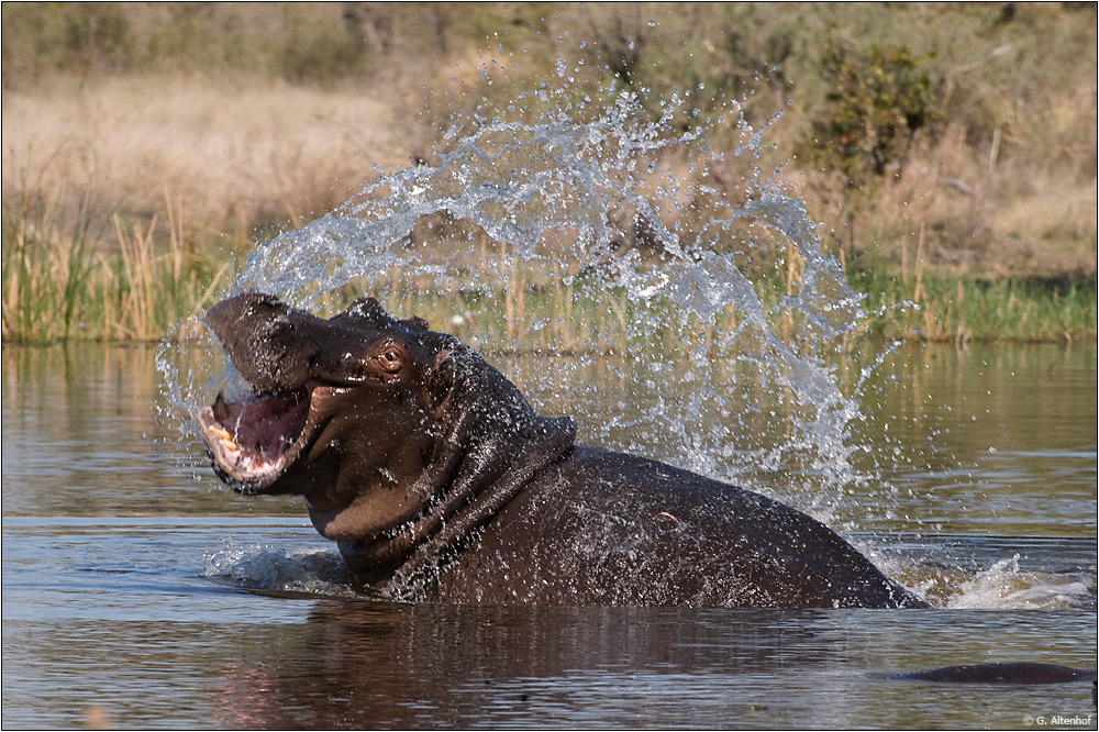 Wasserspiele