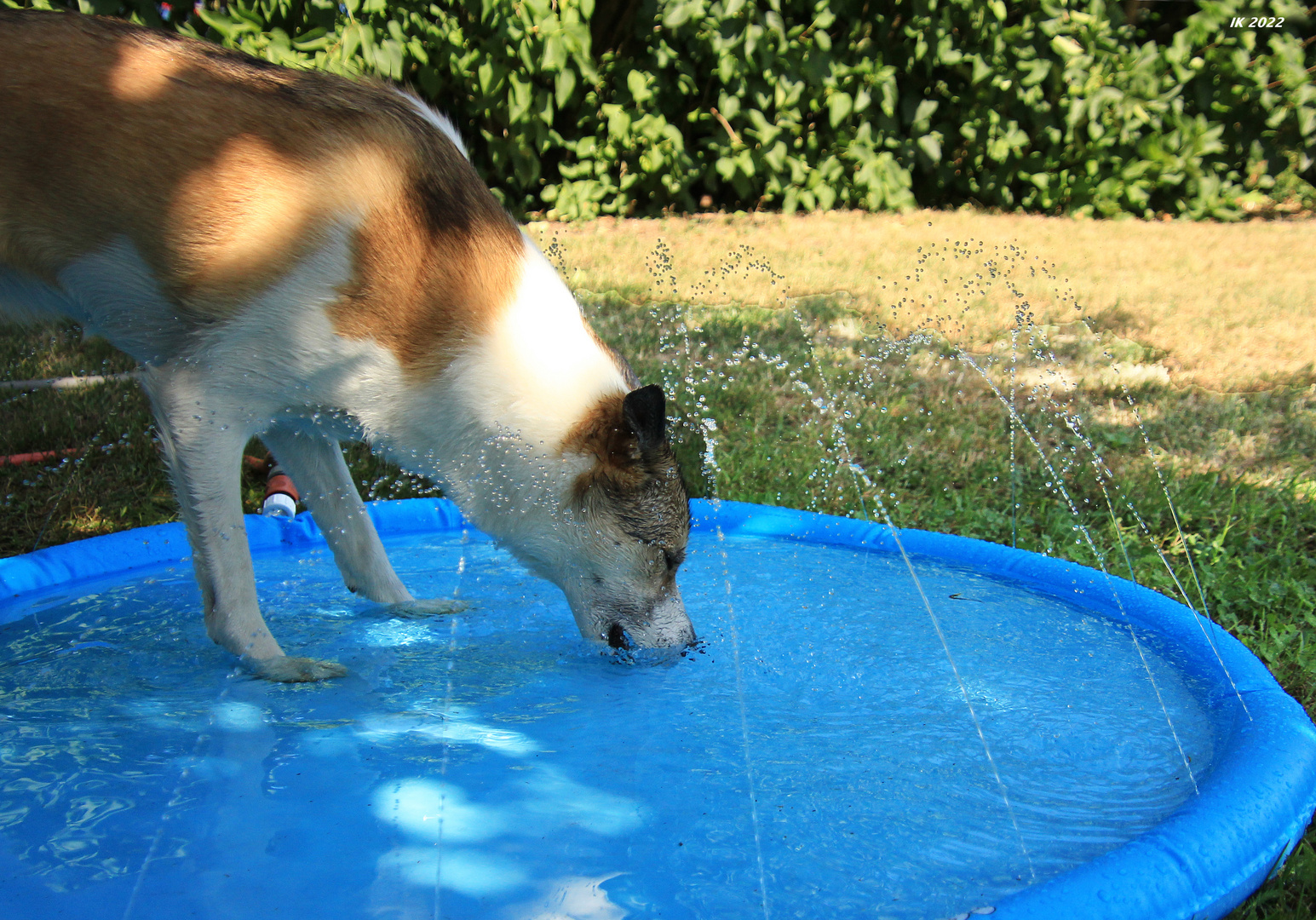 Wasserspiele.....