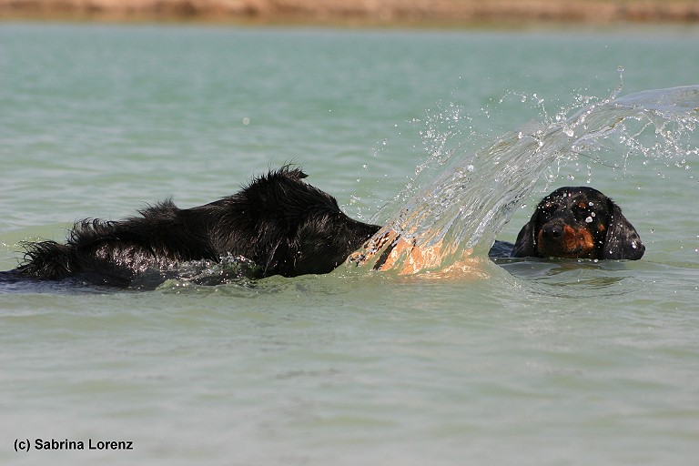 Wasserspiele