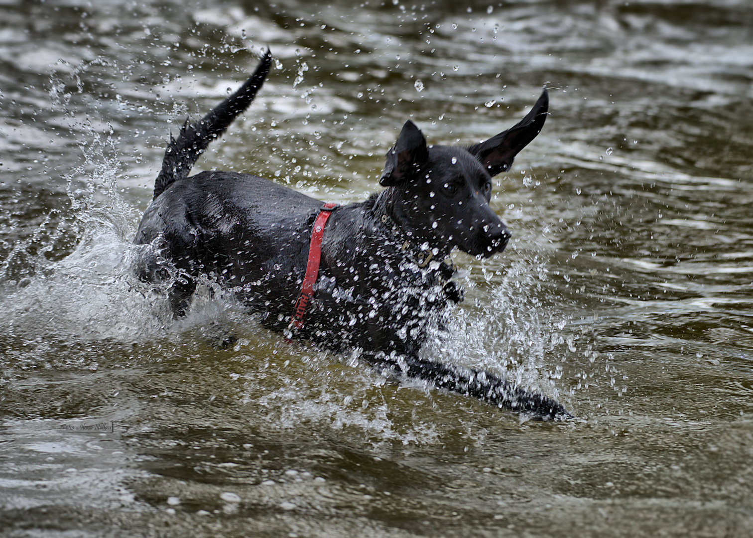 Wasserspiele