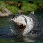 Wasserspiele