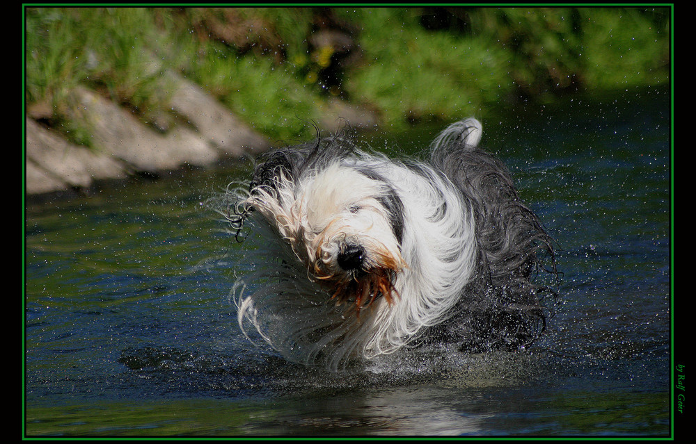 Wasserspiele