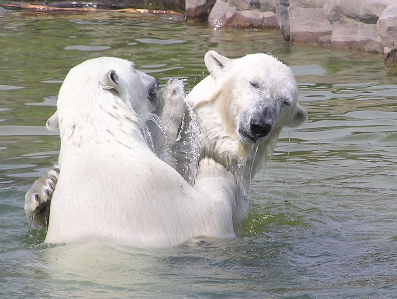 Wasserspiele