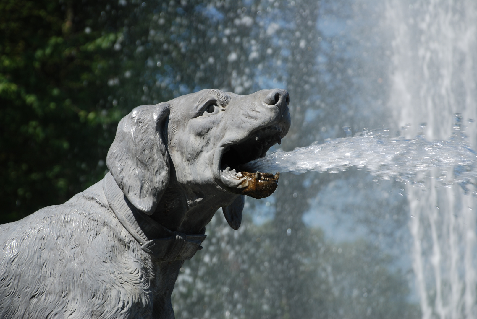 Wasserspiele 