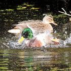 Wasserspiele