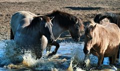 Wasserspiele