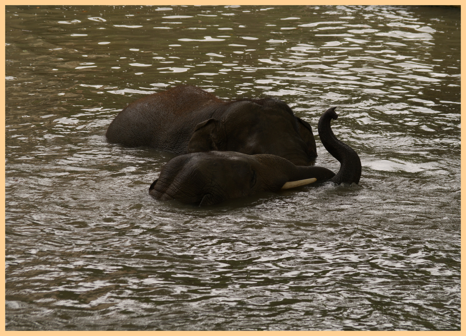 WasserSpiele...