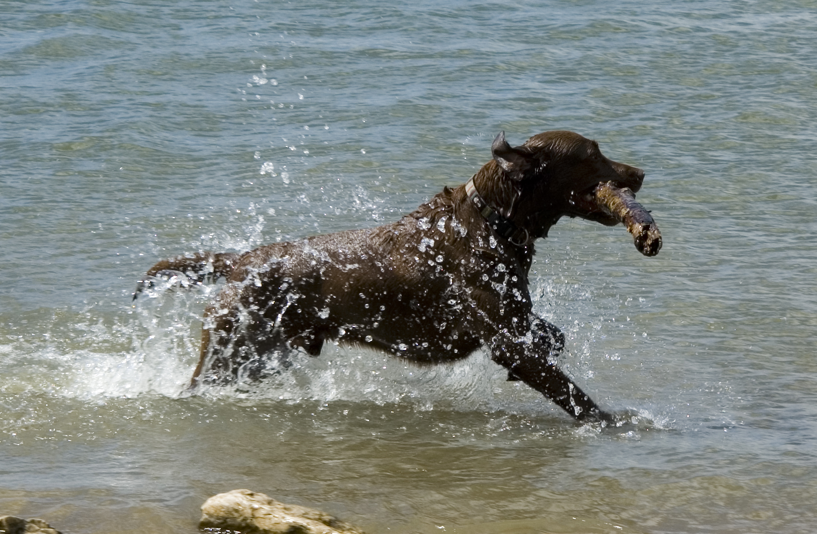 Wasserspiele