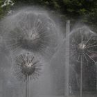 ..wasserspiele