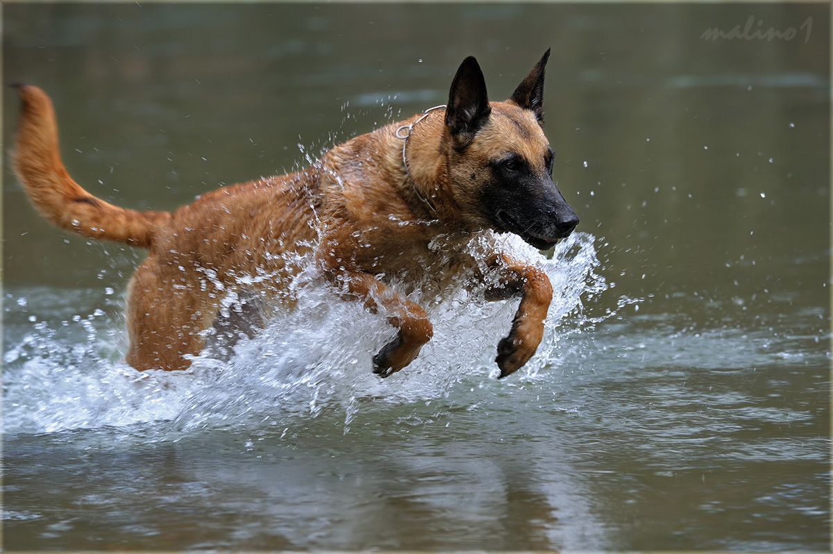 Wasserspiele......