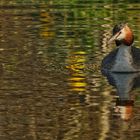 Wasserspiele: Geschenke