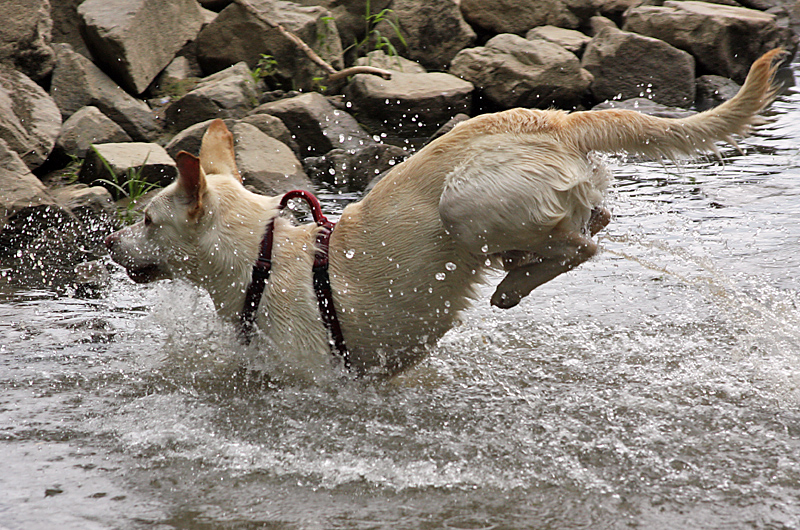 Wasserspiele (II)