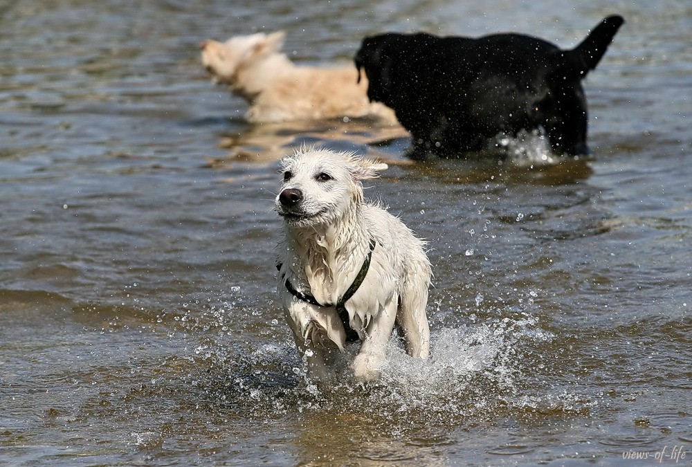 Wasserspiele II