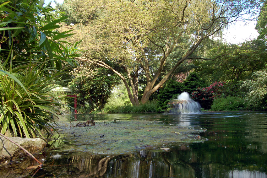 Wasserspiele im Japanischen Garten