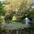 Wasserspiele im Japanischen Garten