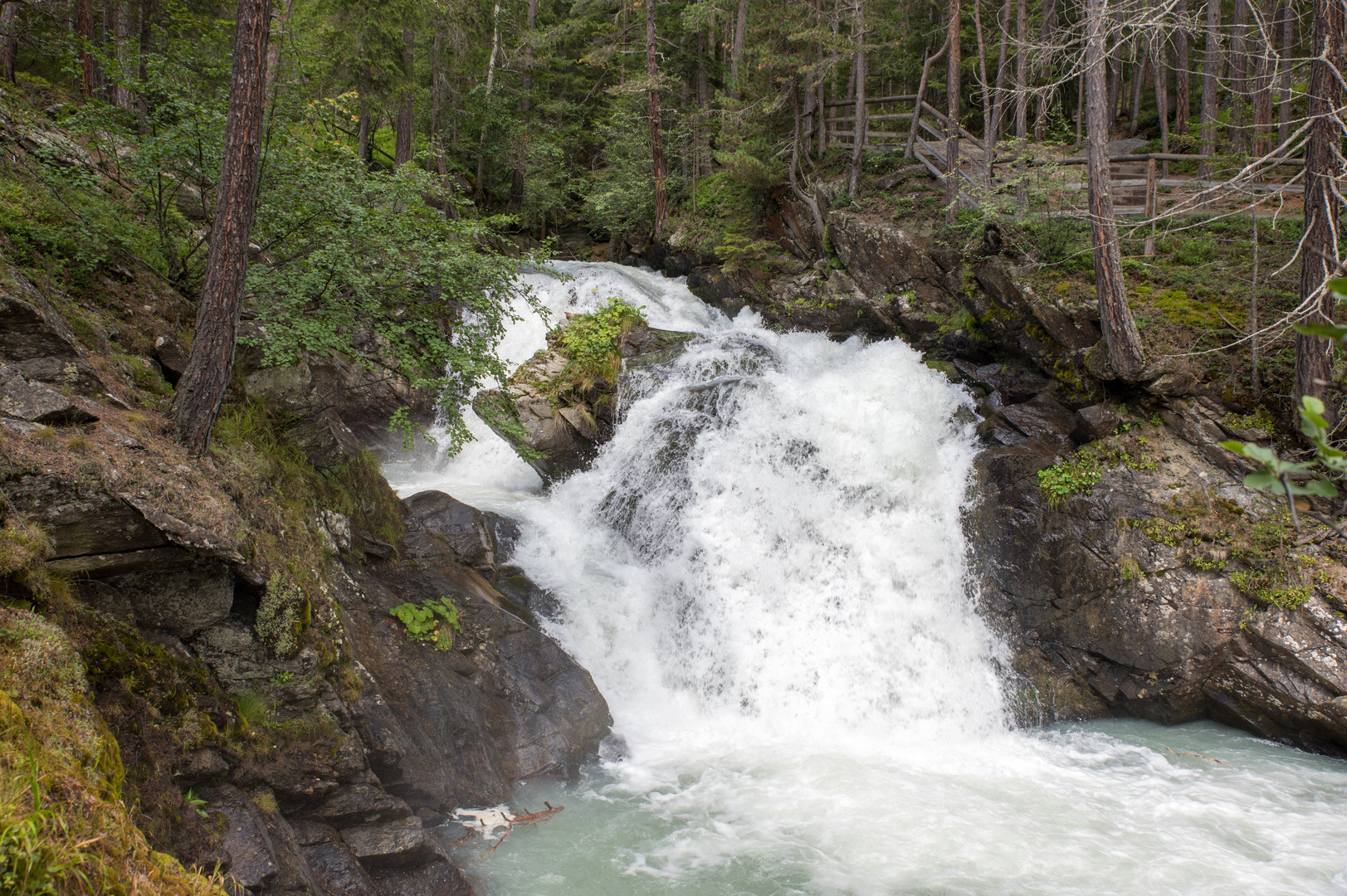 Wasserspiele im Wald