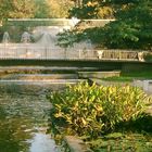 Wasserspiele in der Flora