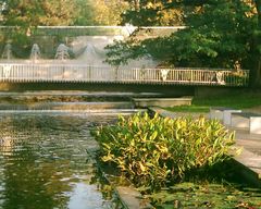 Wasserspiele in der Flora