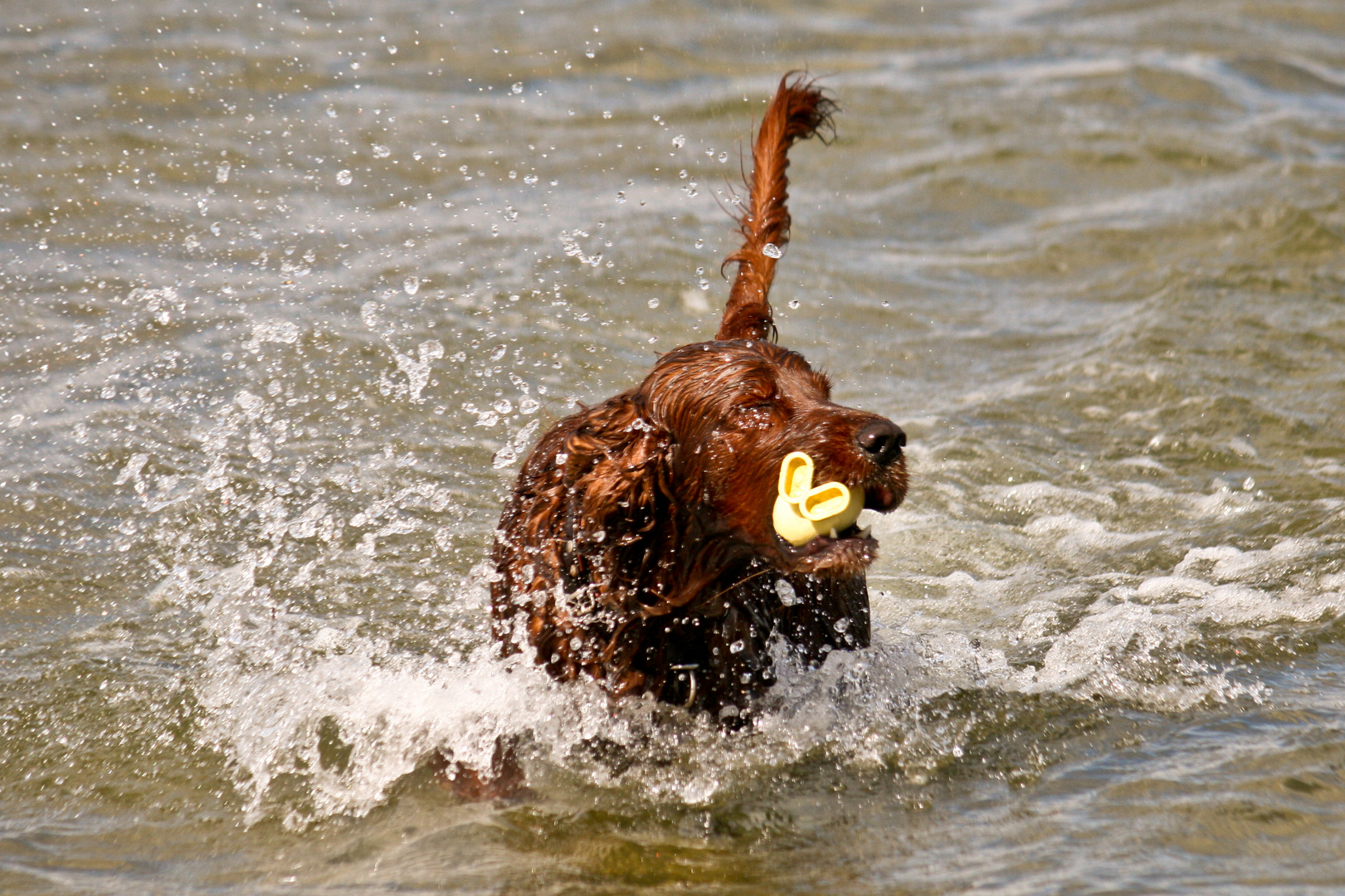 Wasserspiele in der Ostsee