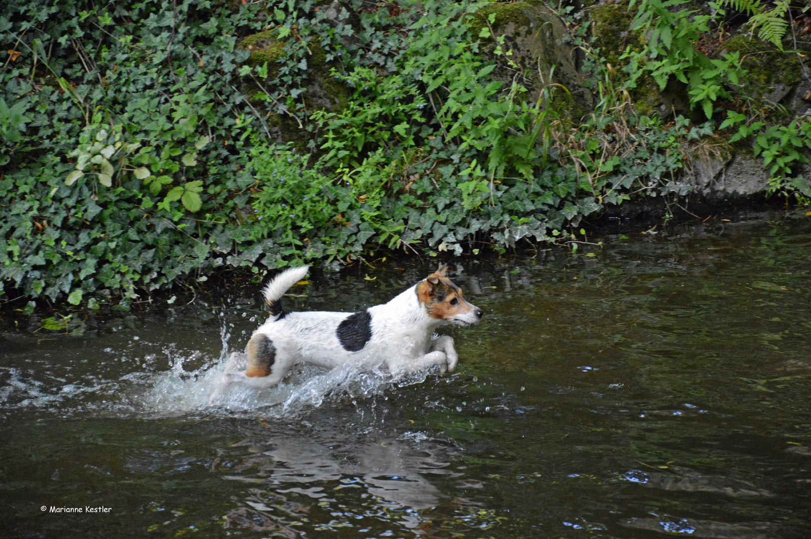 Wasserspiele mal anders