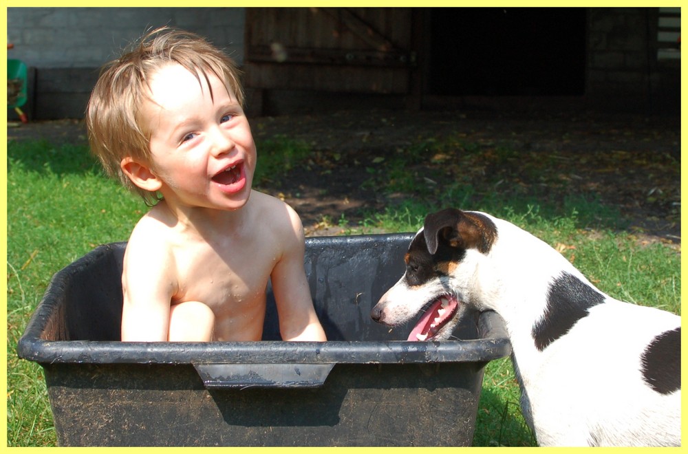 Wasserspiele mit Hund....