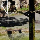 Wasserspiele oder moderne Brunnen in der Stadt