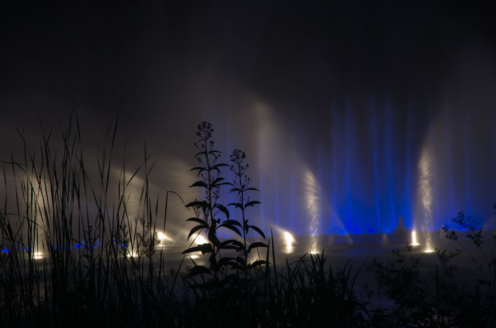 Wasserspiele Planten un Blomen