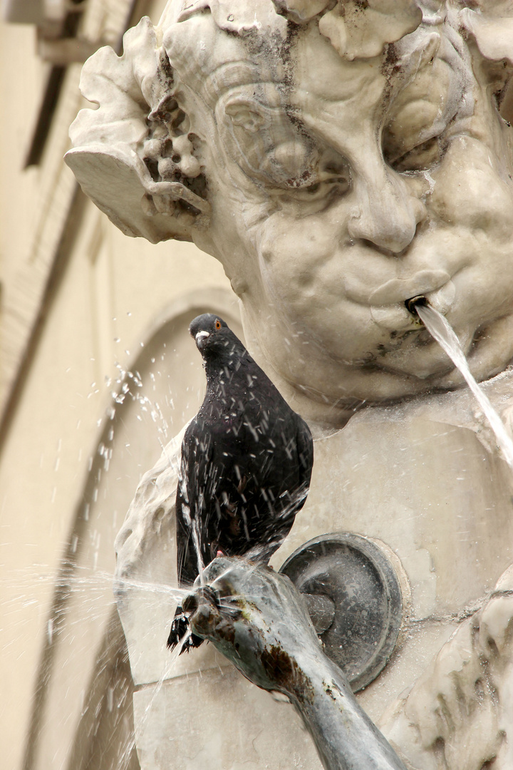 Wasserspiele unter Freunden