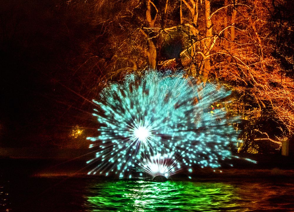 Wasserspiele_3 - Winterlichter Palmengarten Frankfurt